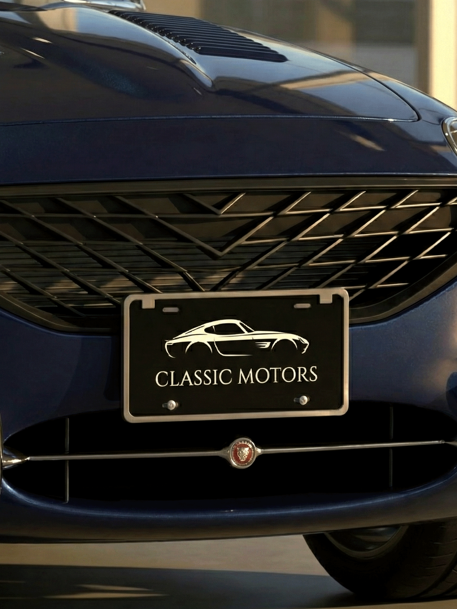 Custom License Plate- Laser Art MTL