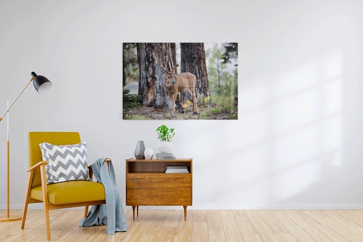 Custom Acrylic Prints - 3:2 RATIO - Laser Art MTL Image principale du produit